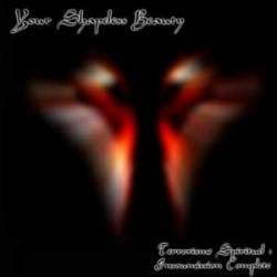 Your Shapeless Beauty : Terrorisme Spirituel - Insoumission Complète